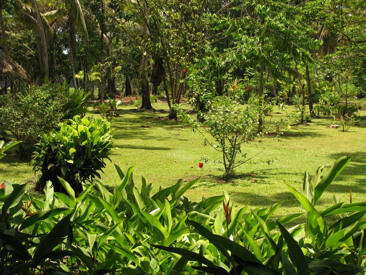 Lirio Lodge Barra de Pacuare Exterior photo